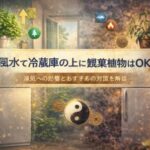 風水で冷蔵庫の上に観葉植物はOK？運気への影響とおすすめの対策を解説