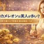金のカメレオンは美人が多い？性格や魅力の特徴を徹底解説【五星三心占い】